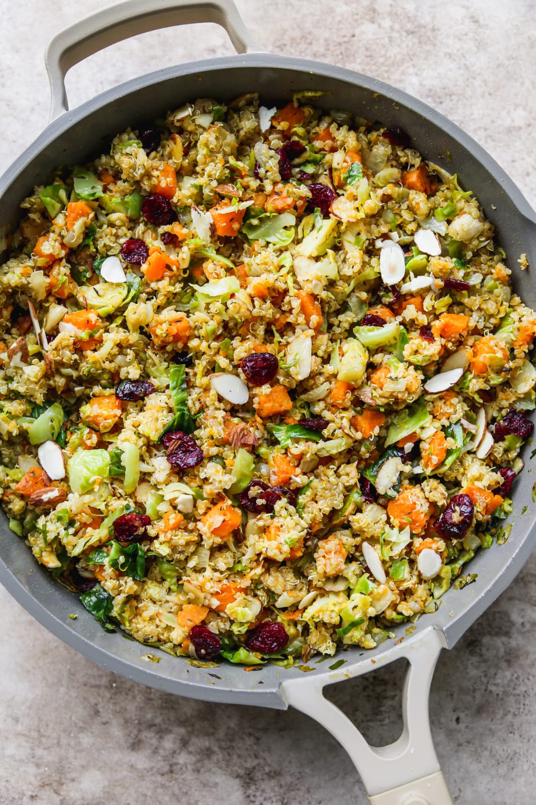 Plato The Salad Bar
